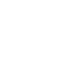CM Foundation